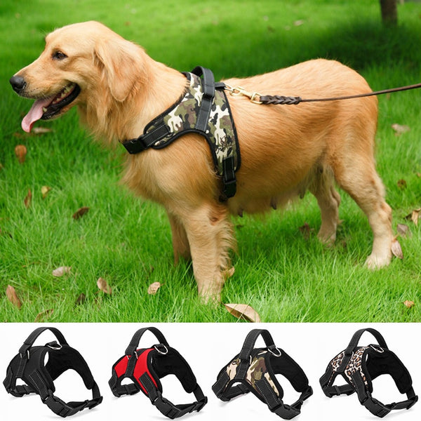 Nylon Heavy Duty Dog